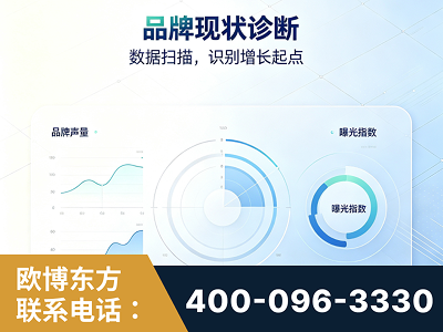 石首-品牌现状诊断