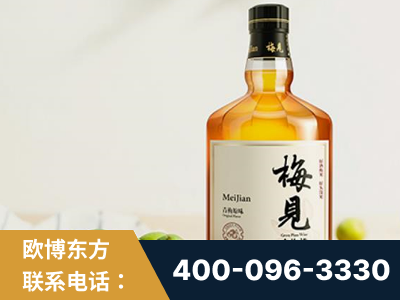 石首-梅见青梅酒